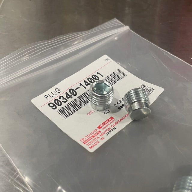 OEM Air Rail / Cylinder Head Plug