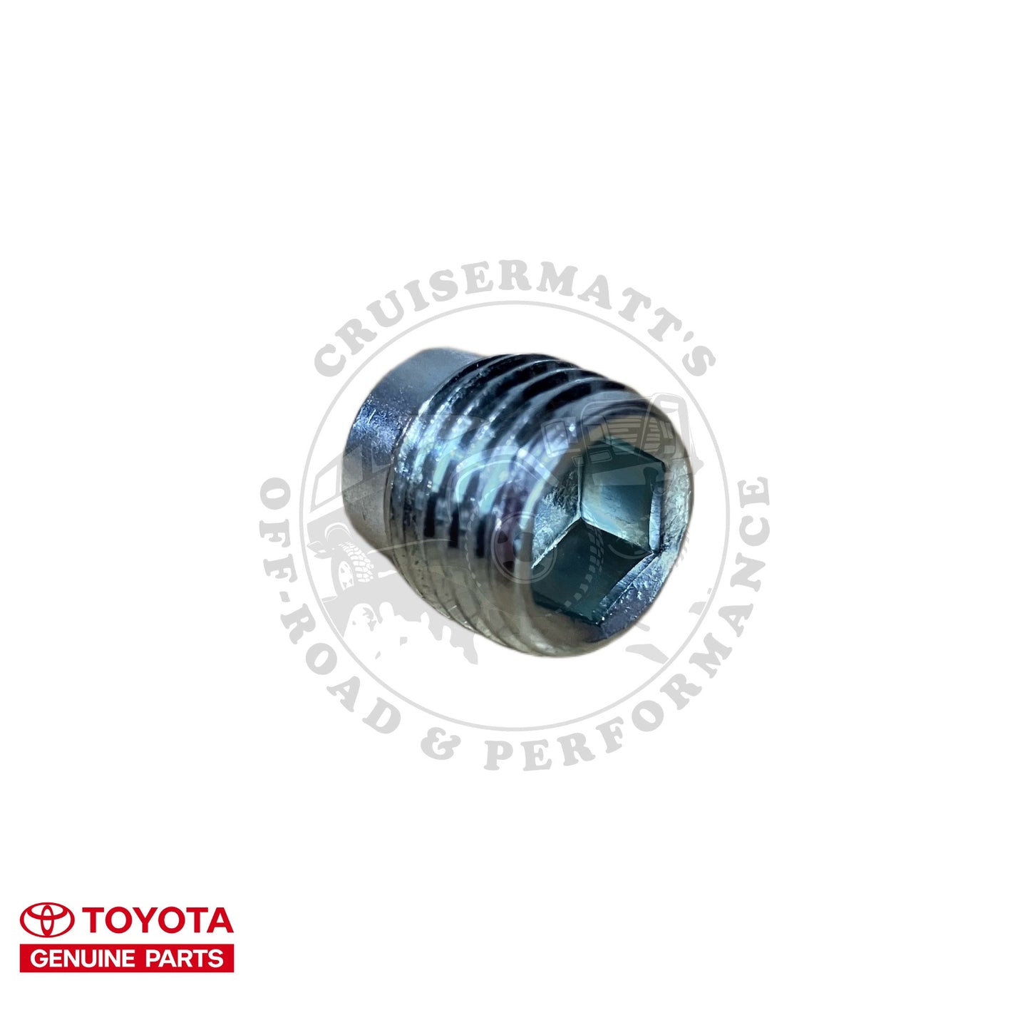 OEM Air Rail / Cylinder Head Plug
