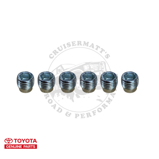 OEM Air Rail / Cylinder Head Plug